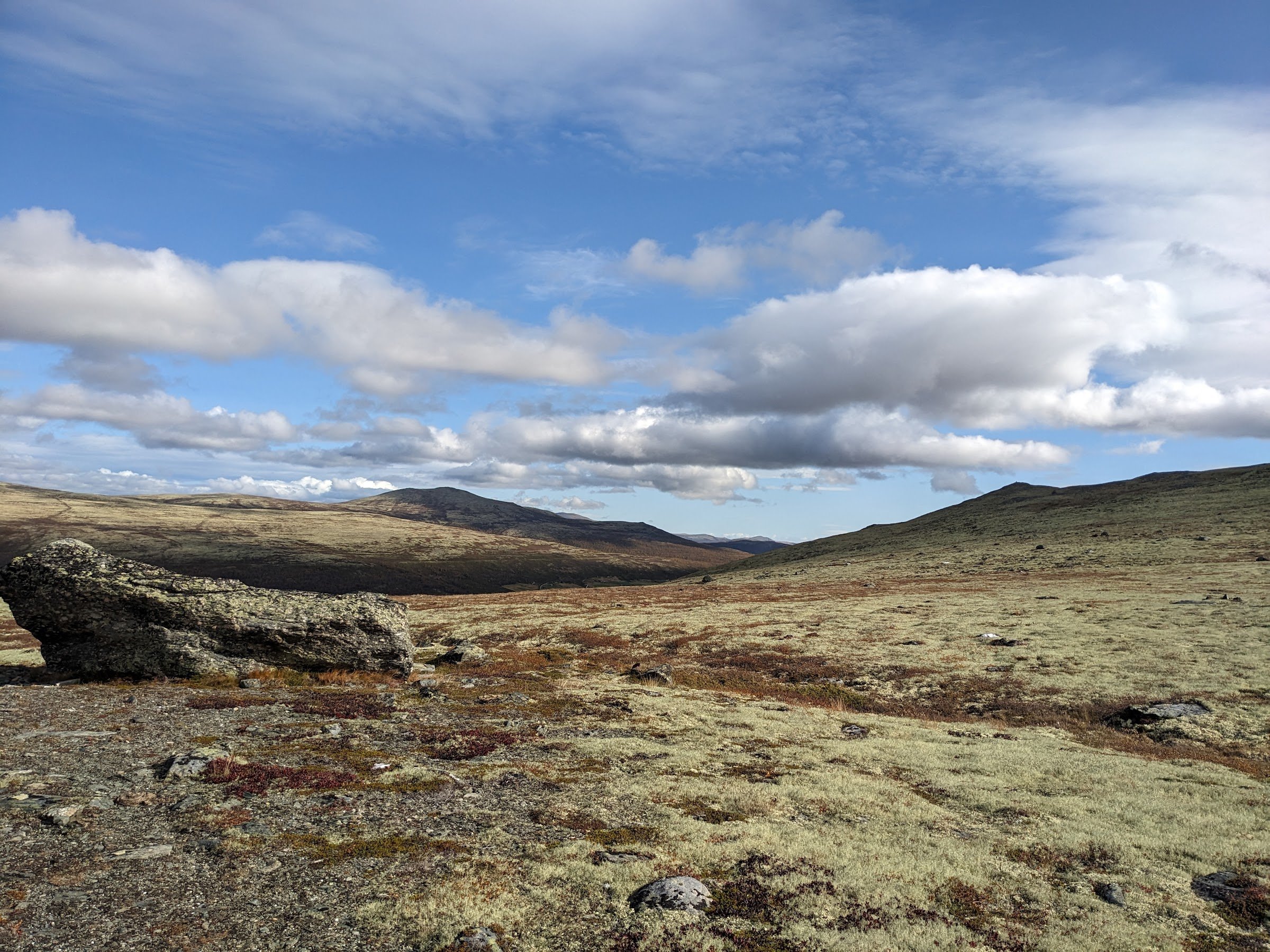 Dovre National Park
